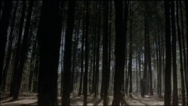 Legacies - Season 03 Episode 14